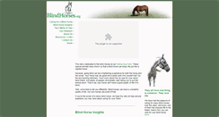 Desktop Screenshot of blindhorses.org